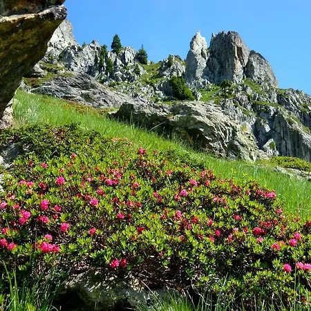 ホテル La Douce Montagne